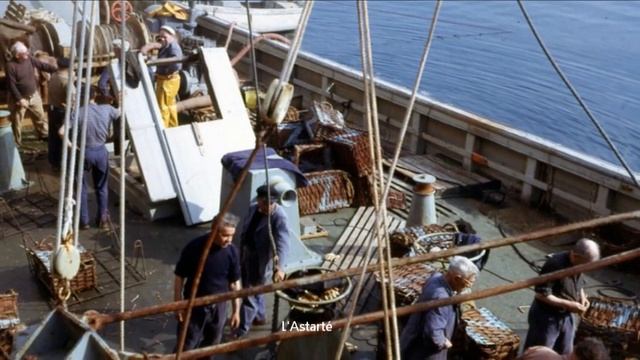 Douarnenez 1963 смотреть онлайн