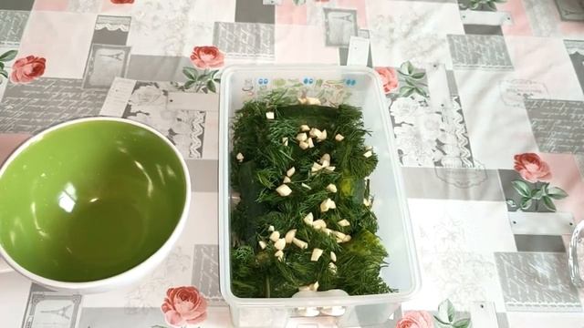 Мастер-Шеф дома