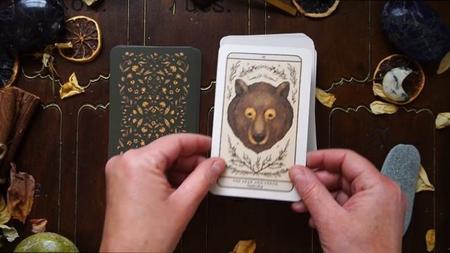 woodland wardens oracle deck unboxing & flip through смотреть онлайн