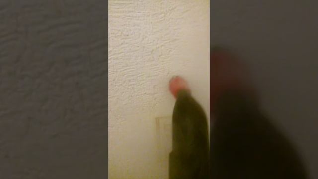 Пароочиститель Karher sc2 смотреть онлайн