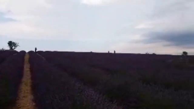 Ремонтные Открытия