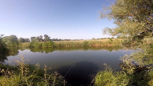 Скользящий ДРОП-ШОТ или секретная оснастка Андрея Грибачева | Dropshot Fishing