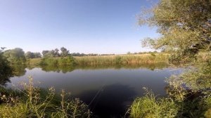 Скользящий ДРОП-ШОТ или секретная оснастка Андрея Грибачева | Dropshot Fishing