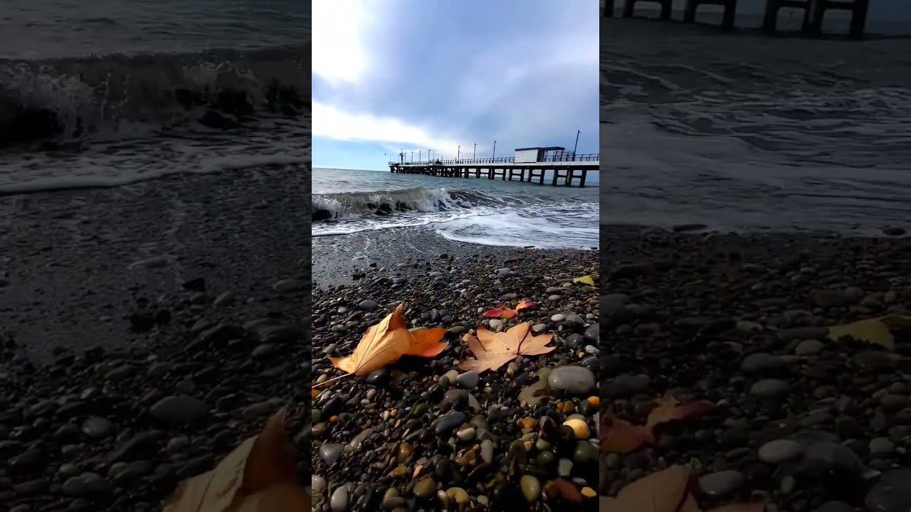 21.11.22 Погода Лазаревское #shorts #погодалазаревское #погодасочи #моресейчас #погодасегодня смотреть онлайн