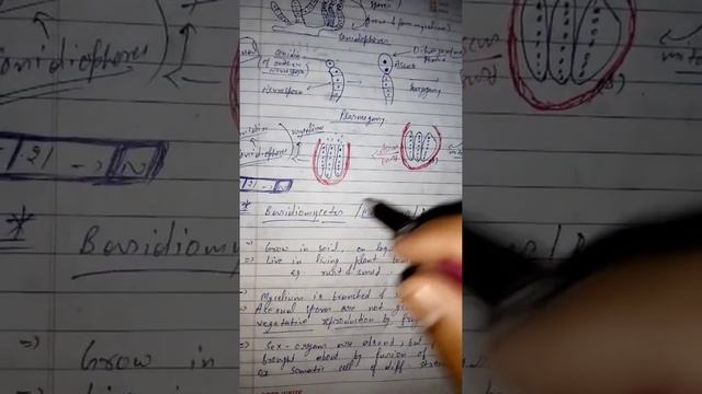 Class 11th Fungi(Ascomycetes,Basidiomycetes &Deuteromycetes) By Akshay Anand смотреть онлайн