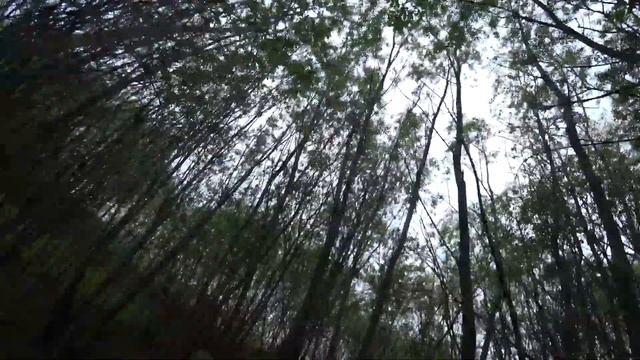 [Метало Коп] 230 кг троса смотреть онлайн