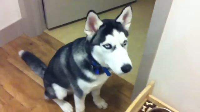 Кормление Тайлера смотреть онлайн