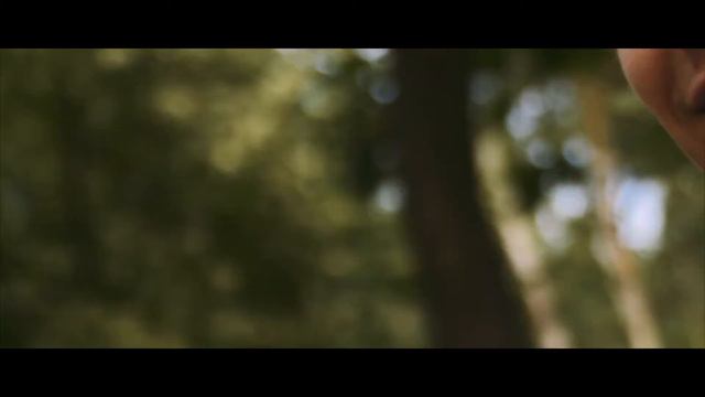 01.07.2017 Дмитрий и Ирина. Ведущий Павел Горбач смотреть онлайн