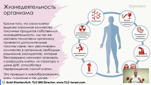 Как привести свой организм и вес в норму, даже если вы уже разочарованы и сдались | Авиэль Станкеви смотреть онлайн