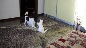 игра