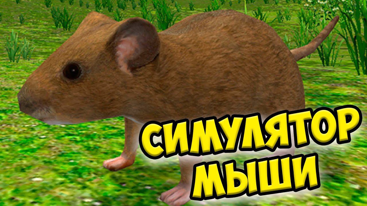 СИМУЛЯТОР МЫШИПочинила дом Ухаживаю за питомцем смотреть онлайн