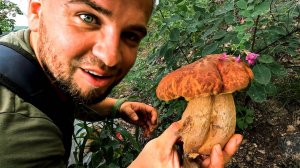 ВЕДРО за 5 МИНУТ! Нашли СЕКРЕТНОЕ грибное место. Сбор грибов в Приморском крае.