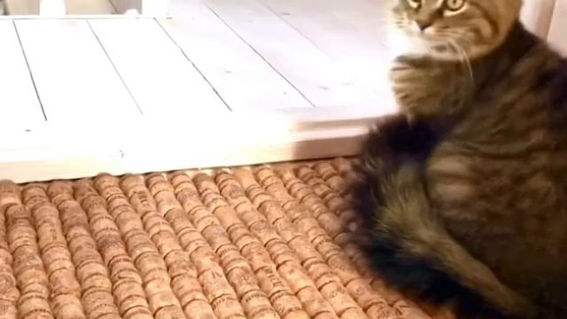 Просто! Как сделать 5 стильных ковриков для дома из ненужных вещей своими руками смотреть онлайн