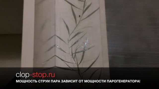 Мощность Струи пара зависит от Мощности Парогенератора! смотреть онлайн