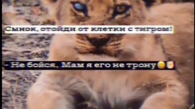 жёсткие цитаты личного сочинения смотреть онлайн