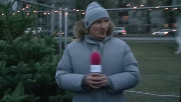 Все Всегда Везде - Где купить и как нарядить елку | Vse Vsegda Vezde