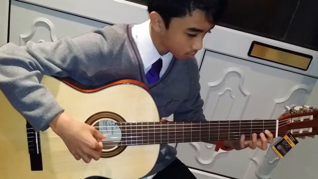 Tanglewood TCMR2 смотреть онлайн