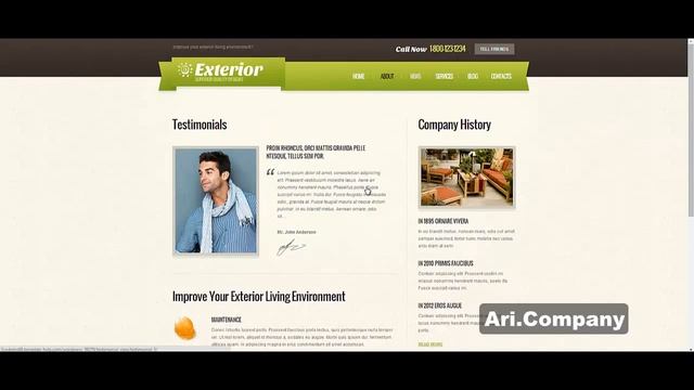 WordPress шаблон Exterior - Ari.Company смотреть онлайн