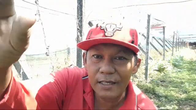 Beans Boy Is Live!beautiful Day Cold Monday