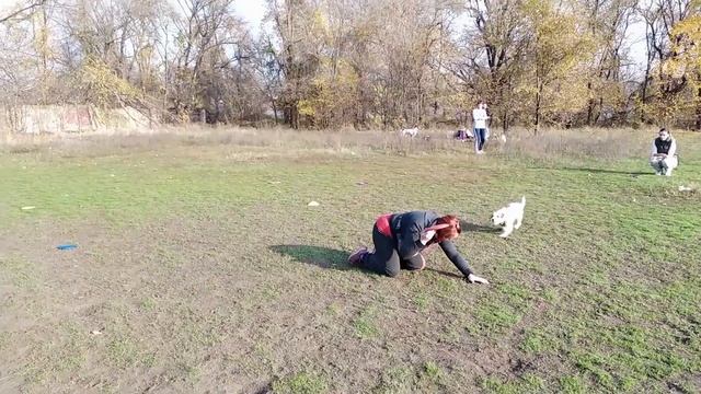 Замедленные вольты смотреть онлайн