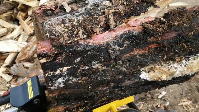 ЭЛЕКТРИЧЕСКИЙ ДРОВОКОЛ CHAMPION LSH5001H смотреть онлайн