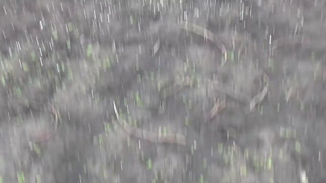 Куда деть яичную скорлупу. смотреть онлайн