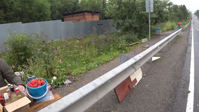 путешествие на mitsubishi делика,алтай,клубника,черника,омуль горячего копчения,показался байкал. смотреть онлайн