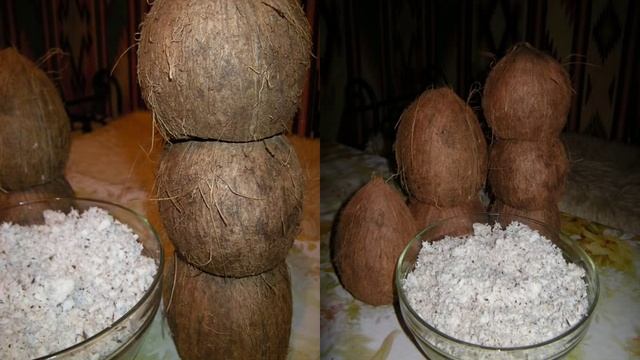 Приготовление кокосового масла смотреть онлайн