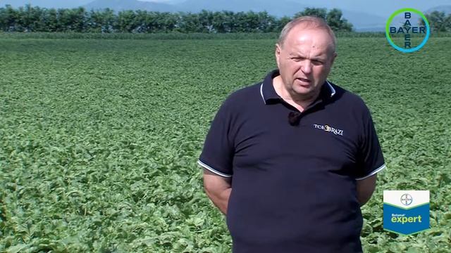 Bayer - Testimonial VASILE IACOB - erbicidul Betanal Expert la cultura de sfecla pentru zahar смотреть онлайн