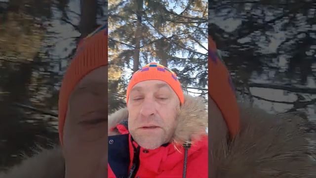 База отдыха Стрельникова наш отдых смотреть онлайн