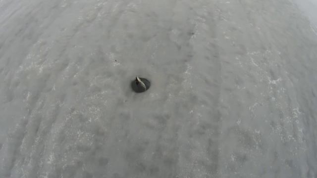 Пузатые Щуки по Последнему Льду.Рыбалка в Башкирии.Река Белая. смотреть онлайн