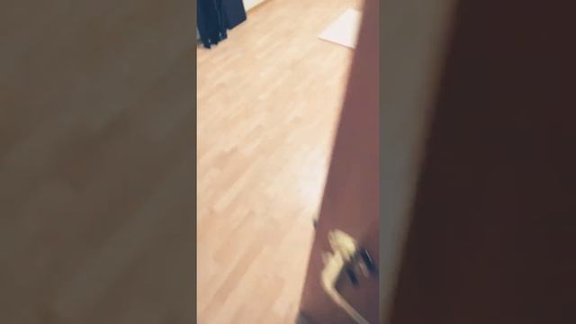 ЧЁРНАЯ БАГИРА #3 смотреть онлайн