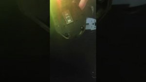 Разбор мыши DEXP Notos