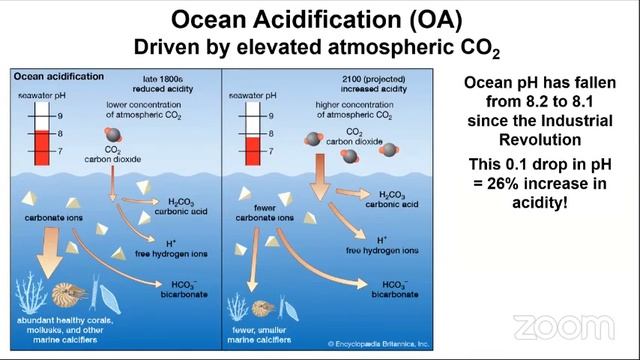 IRLON 2.0: Addressing Emerging Environmental Issues in the Indian River Lagoon смотреть онлайн