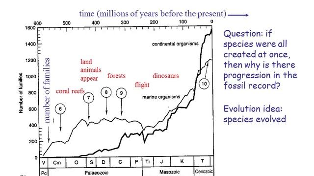 Biol 3440 Fall 2017 Aug 21 video 2 смотреть онлайн