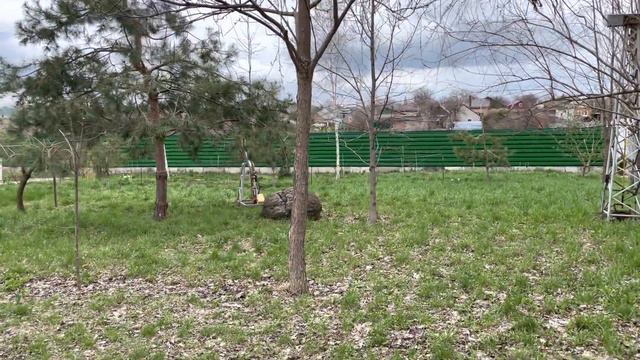 Чистый канал для прекрасных французских бульдогов !!! смотреть онлайн