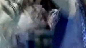 Пушкин А.С. Царь Никита и сорок его дочерей.