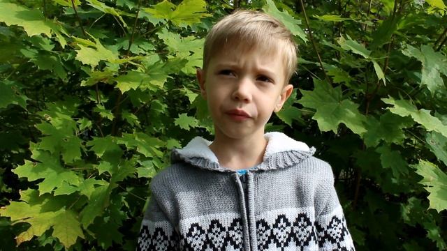 А.Барто "В школу". Матвей Самило, 6 лет смотреть онлайн