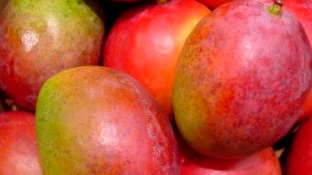 Состав и полезные свойства манго. смотреть онлайн