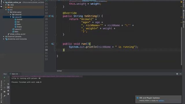 Java SE1: lesson 9.3 смотреть онлайн