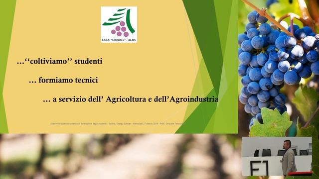 iXemWine - Strumenti per Viticoltura 4.0 смотреть онлайн