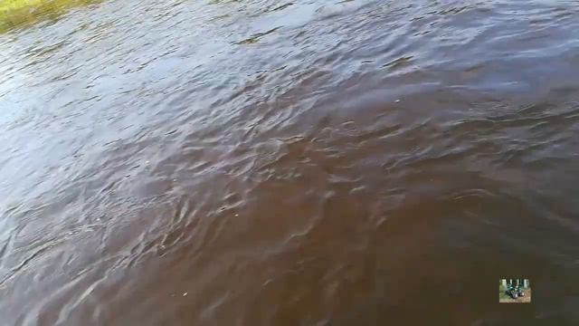 поездка на селигер ловля нахлыстом хариуса и коп, находка серебряная царская монета смотреть онлайн