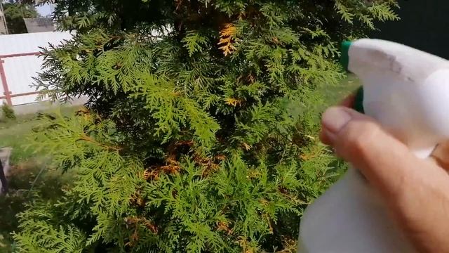 Новые планы и приобретения. Осенний обед. смотреть онлайн