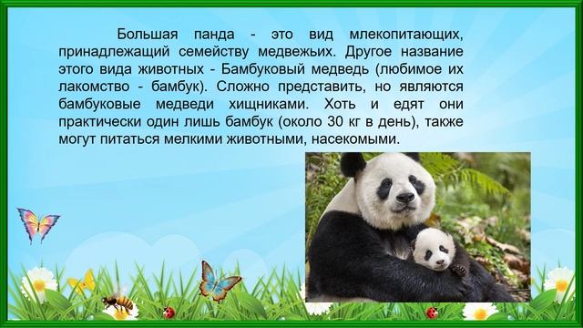 Экологический колейдоском смотреть онлайн