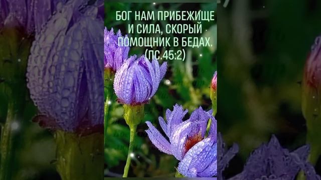 С Добрым утром!!!?????️ Желаю вам благословений Божьих!!! Христианское пожелание смотреть онлайн