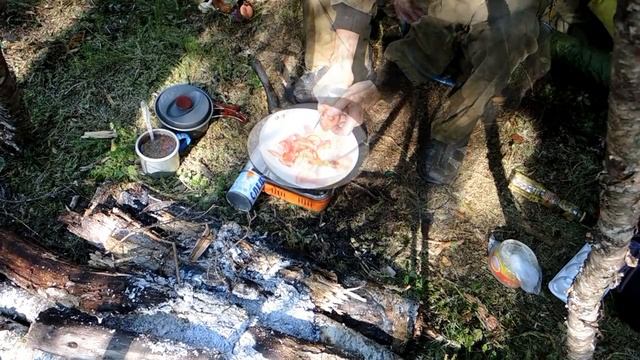 За грибочками в лес. (варим на костре)