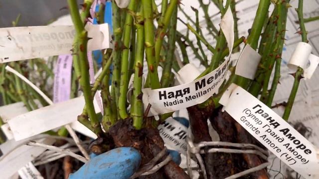 Уценка!! Отправки!! Посылки!! смотреть онлайн