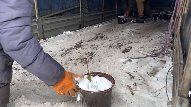 Немного о том, как готовятся к зиме в Егорьевском питомнике Никитенко Александра смотреть онлайн