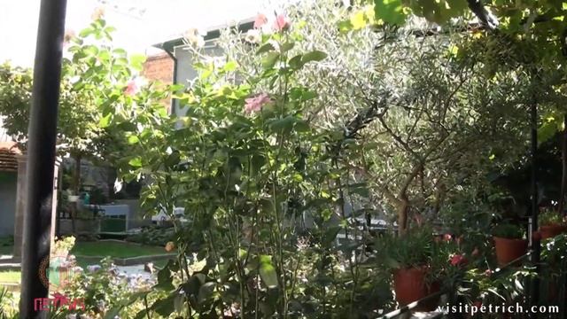 VISIT PETRICH - BULGARIA - TOURIST PROMO VANGA RU