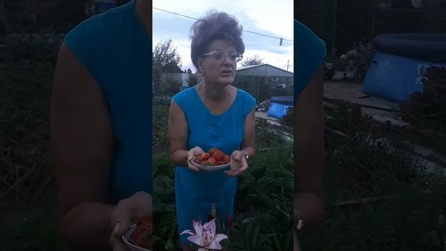 Гигантелла Максим, обалденная ягода. смотреть онлайн